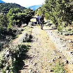 Little Bit Of Heaven Σούρπη