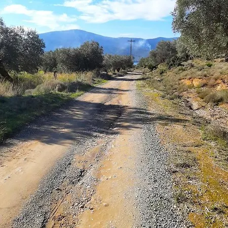 Little Bit Of Heaven Szúrpi