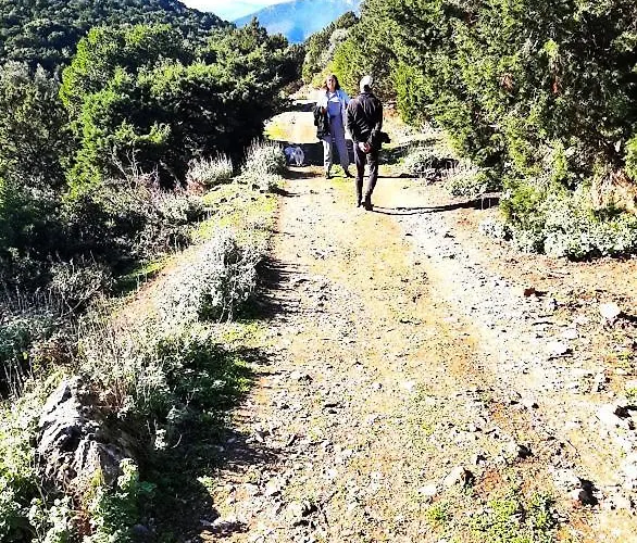 Little Bit Of Heaven Sourpi